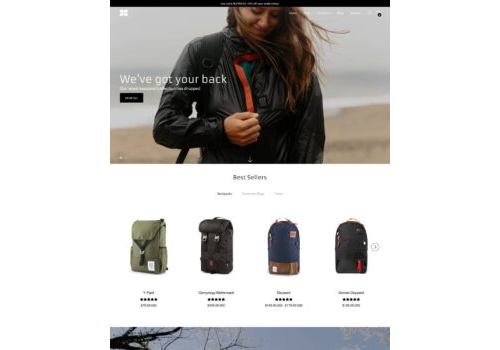 WordPress Theme