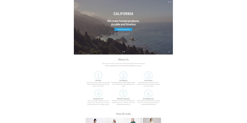 WordPress Theme