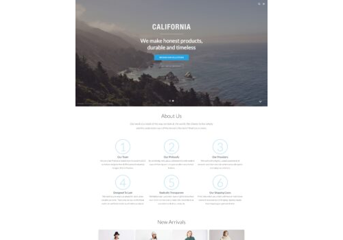 WordPress Theme