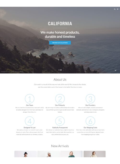 WordPress Theme